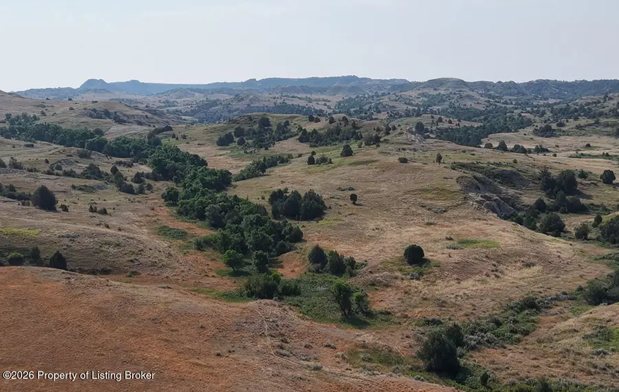 3938 East River Road S Road, Medora, ND 58645 - #2