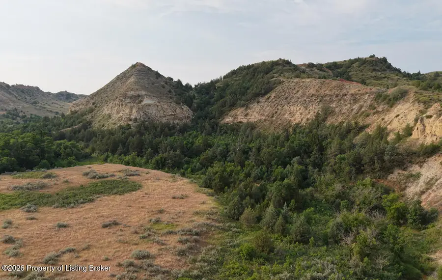 3938 East River Road S Road, Medora, ND 58645 - #3