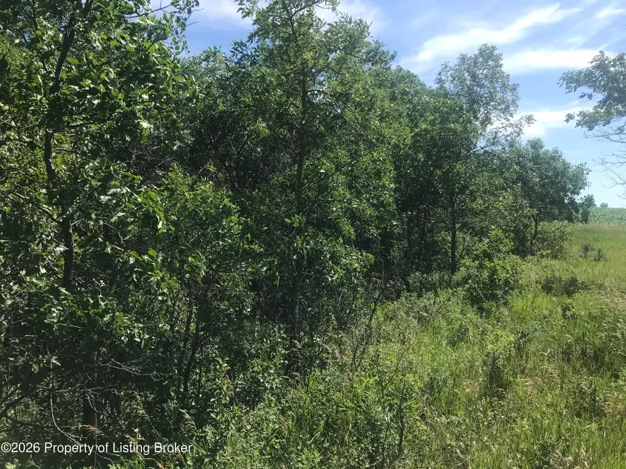 Beulah Bay Road, Beulah, ND 58523 - #3