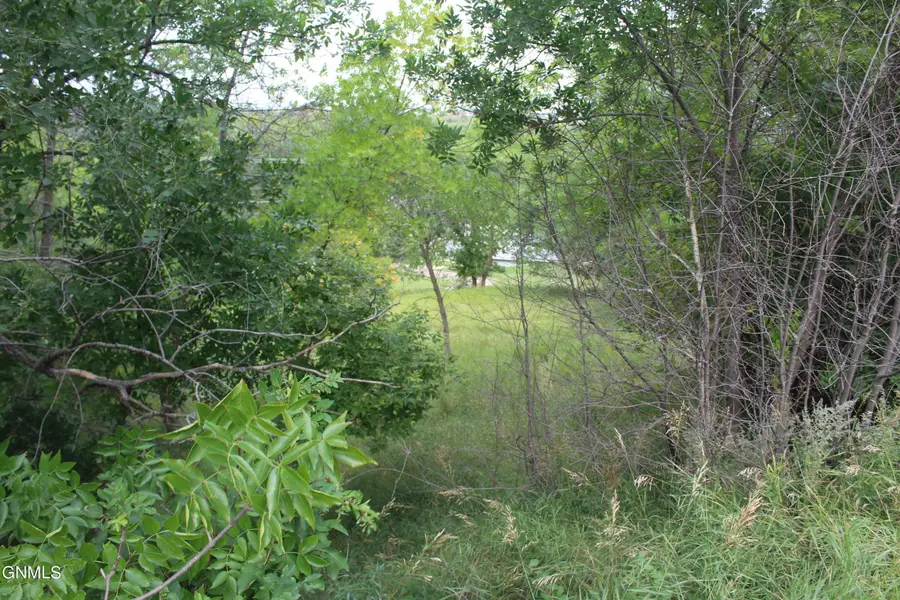 1003 3rd Avenue Ne, Jamestown, ND 58401 - #3