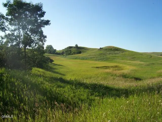 14134 Trail Boss Way, Bismarck, ND 58503 - #3