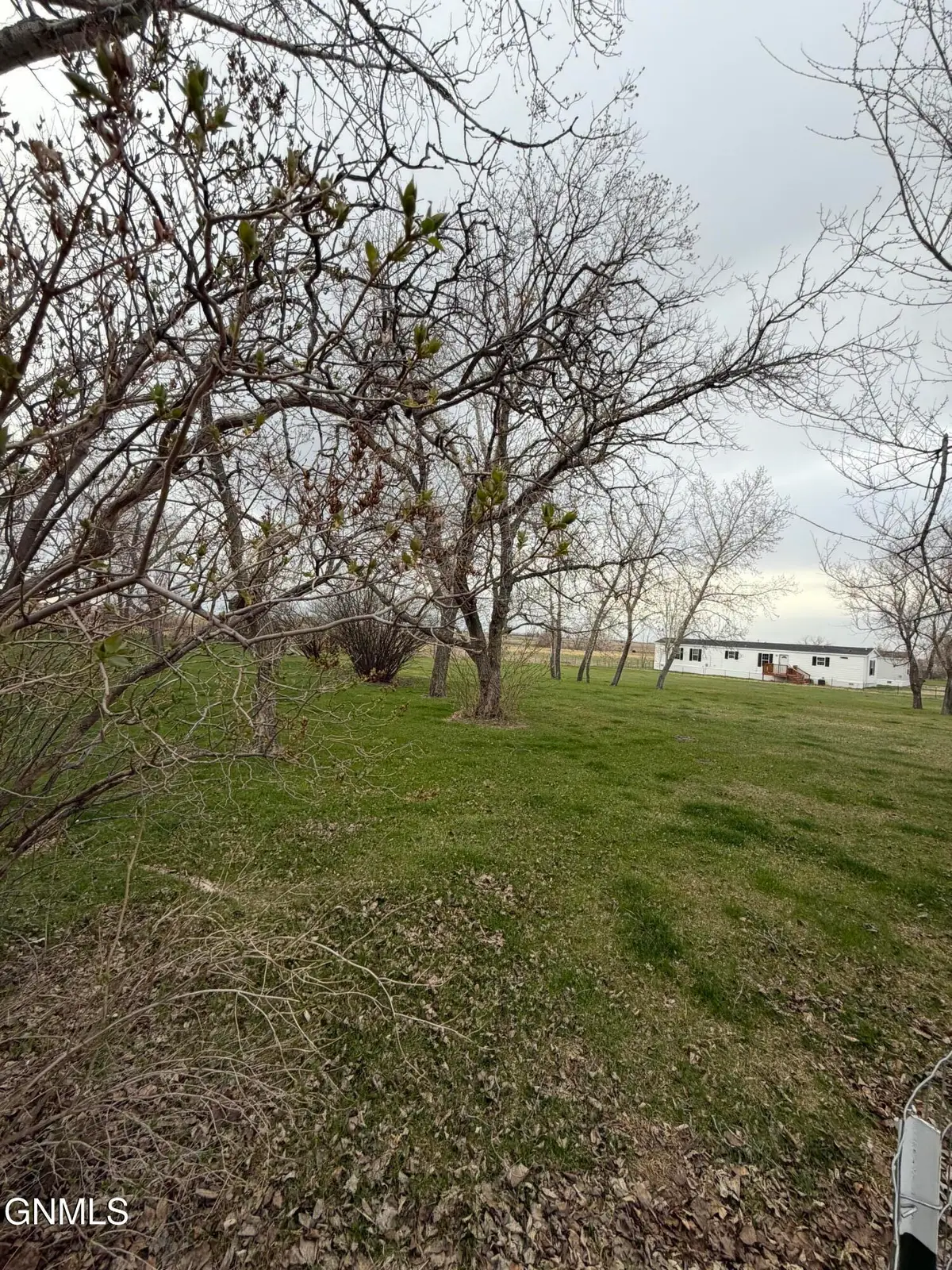 4 Lots On Pierce Street, Noonan, ND 58765 - #1