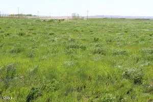 Tbd L1 B2 Key's Cove Loop, Ray, ND 58849