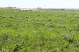 Tbd L4 B1 Key's Cove Loop, Ray, ND 58849 - #1