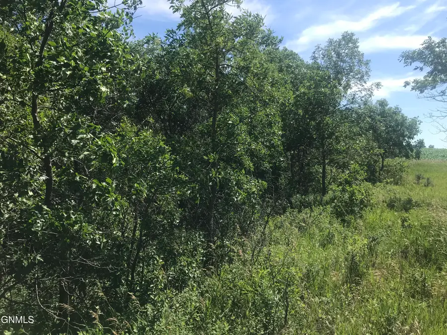 1 Beulah Bay Road, Beulah, ND 58523 - #3