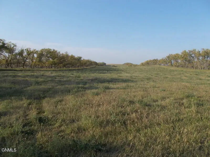 3287 82w Avenue Sw, Richardton, ND 58652 - #2