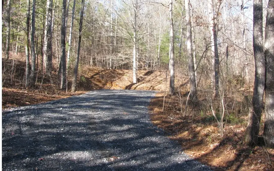 #68 Summerwood Lane, Young Harris, GA 30582 - #3