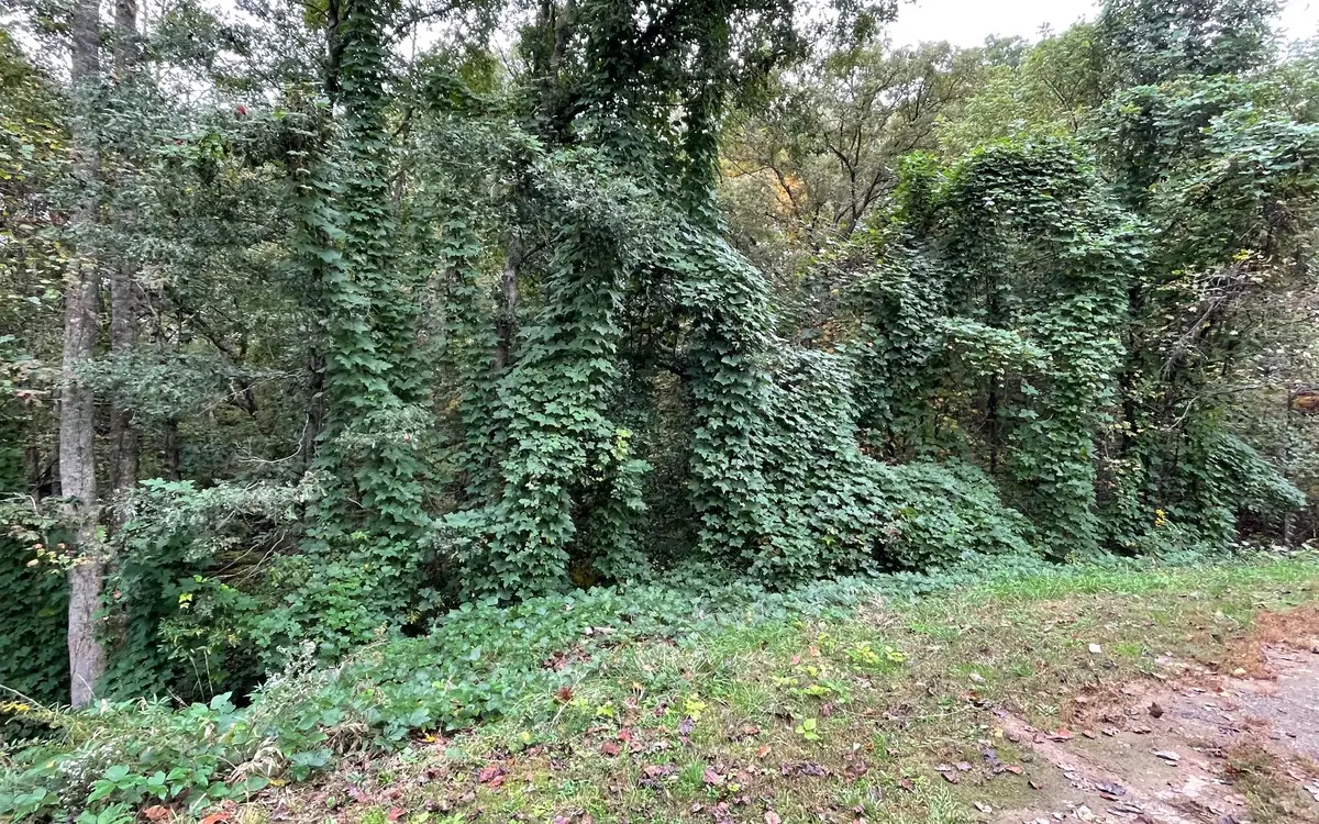 LOT 9 Rustic Ridge, Young Harris, GA 30582 - #1