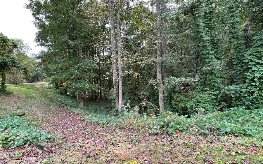 LOT 9 Rustic Ridge, Young Harris, GA 30582 - #2
