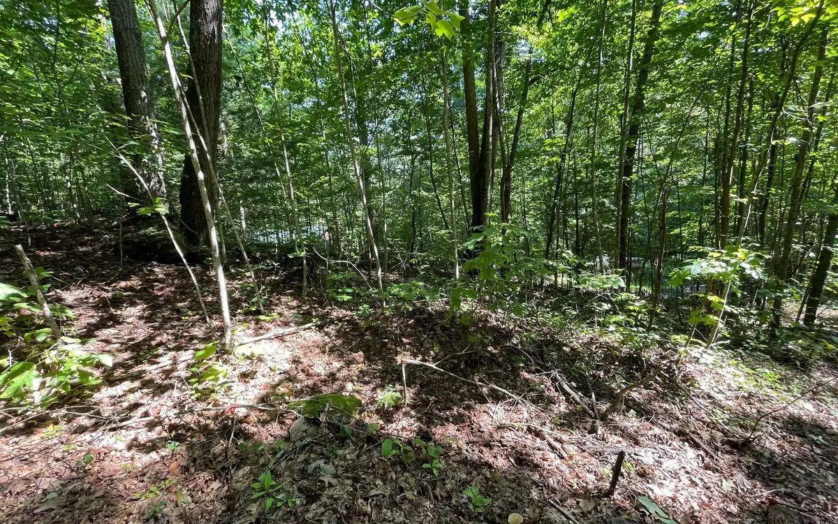 Lot 8D Eagle Heights, Hiawassee, GA 30546 - #1