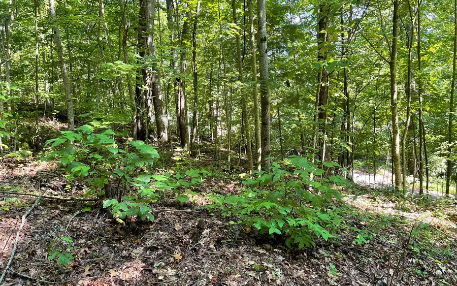 Lot 8D Eagle Heights, Hiawassee, GA 30546 - #2