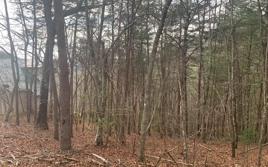 #3