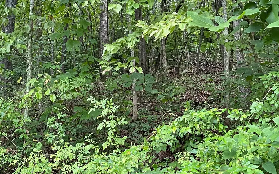 #2