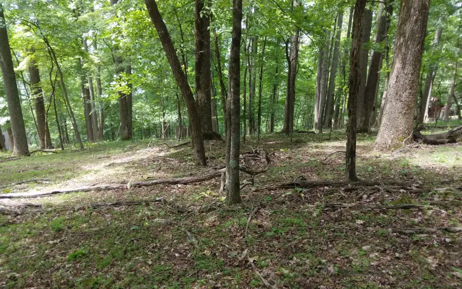 #3