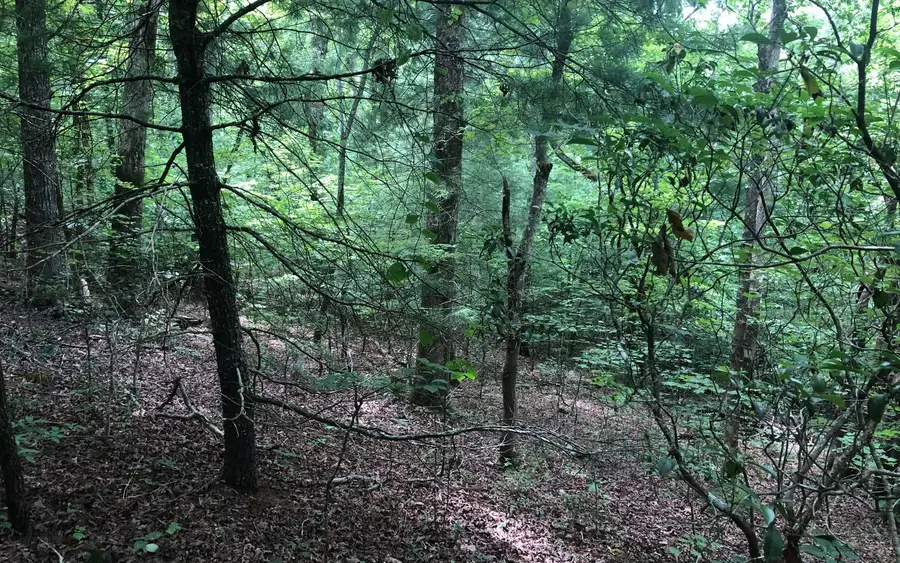 #3