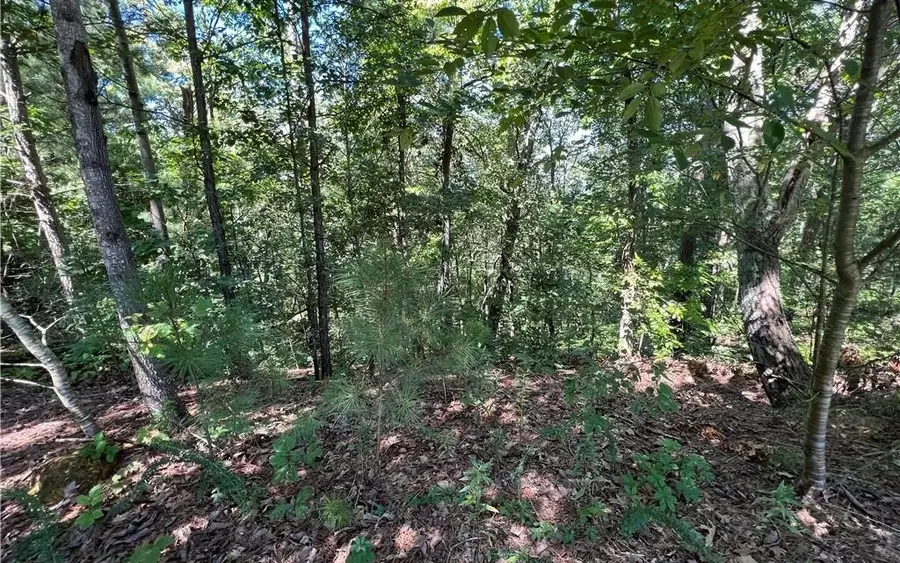 #2