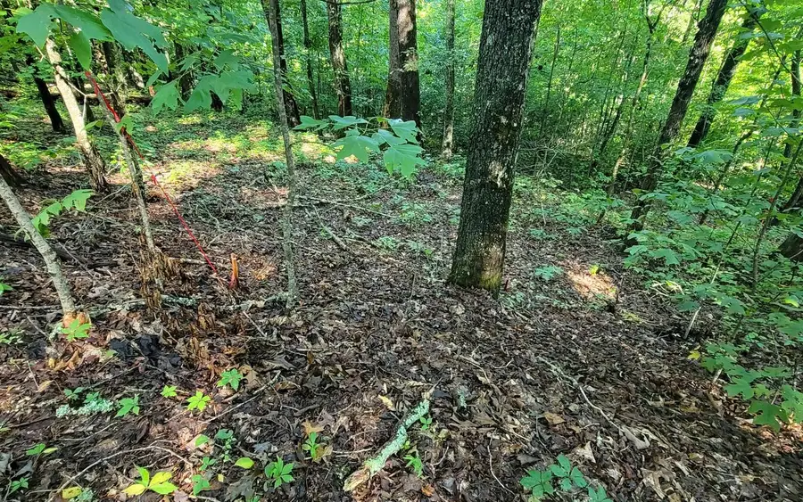 #2