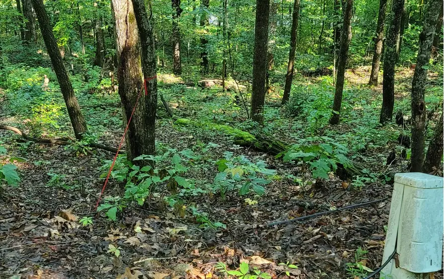 #3