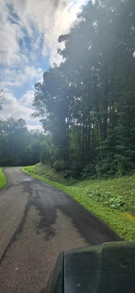 LT175 Trailwood Drive, Ellijay, GA 30536 - Image #1