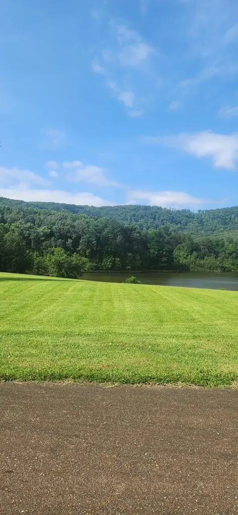 LT175 Trailwood Drive, Ellijay, GA 30536 - Image #3