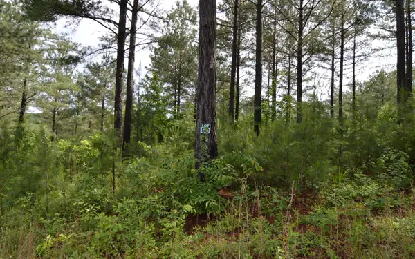 Lot 50 Pinehurst Road, Blairsville, GA 30512