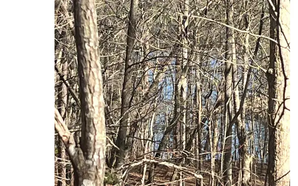 Campbell Camp Circle, Blue Ridge, GA 30513