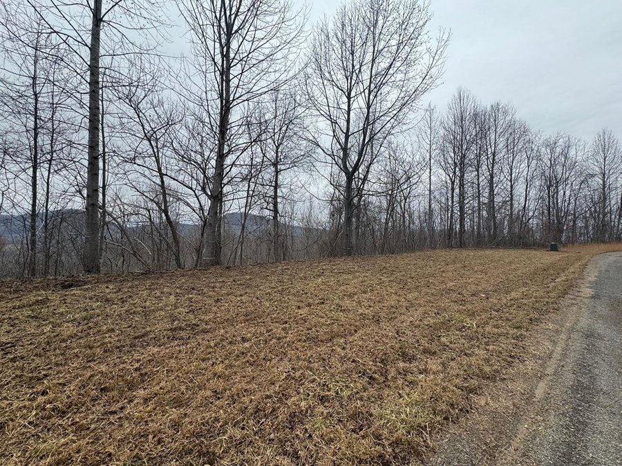 Lot 10 Chatuge Manor Drive, Young Harris, GA 30582 - #3