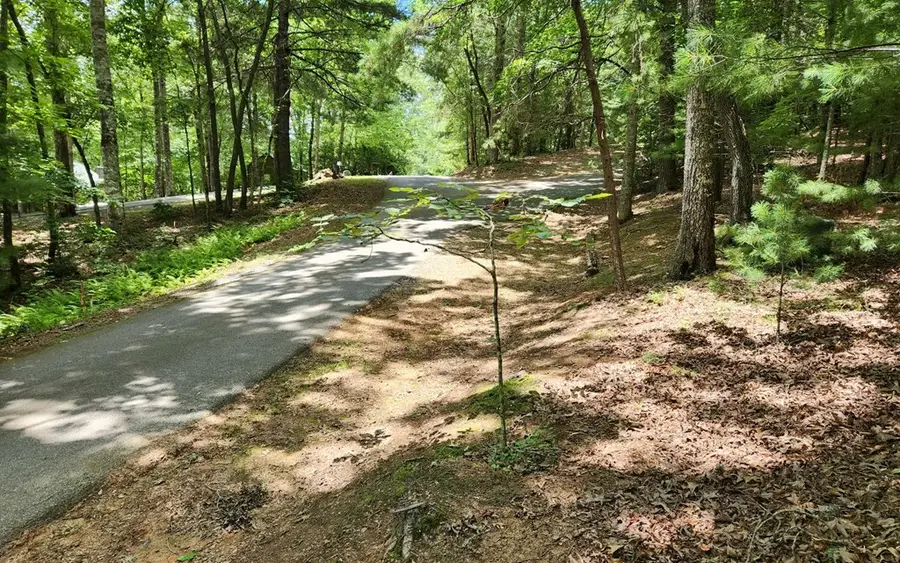 Lot 3 Autumn Lane, Blairsville, GA 30512 - Image #3