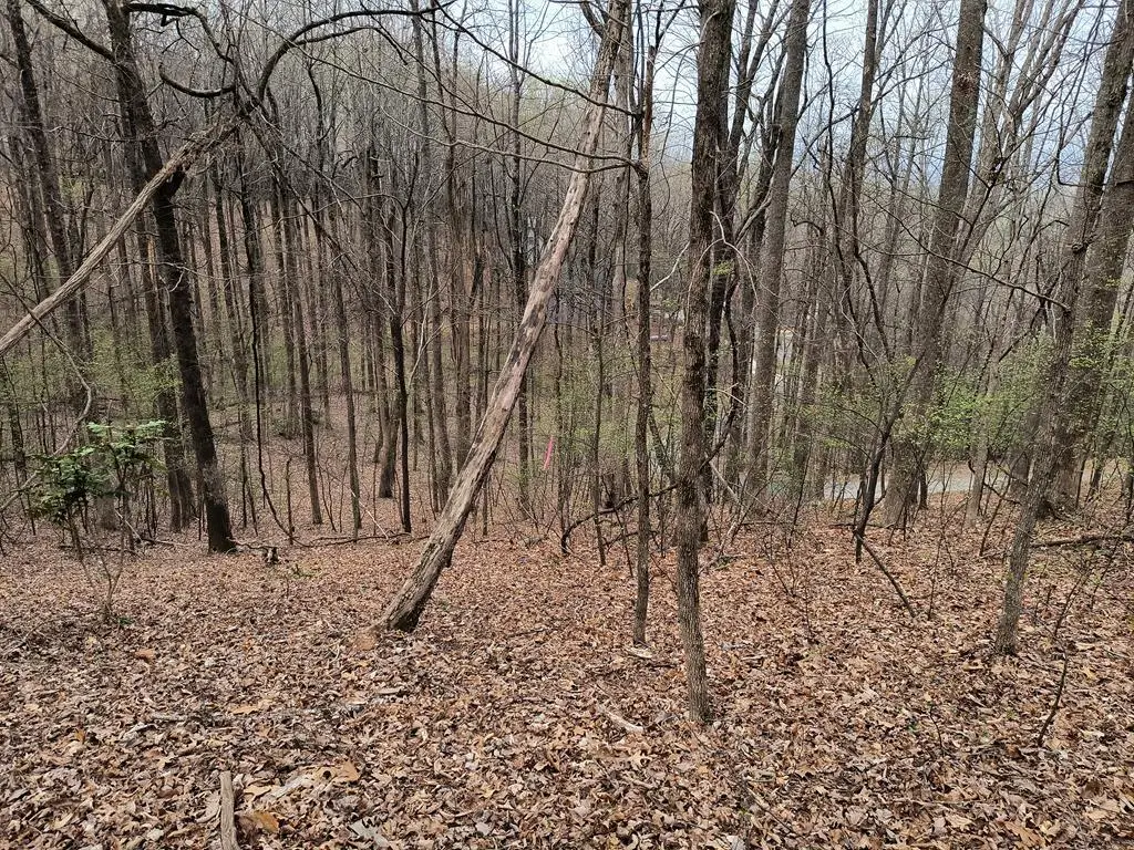 M99 Sleepy Hollow Road, Ellijay, GA 30536 - Image #1