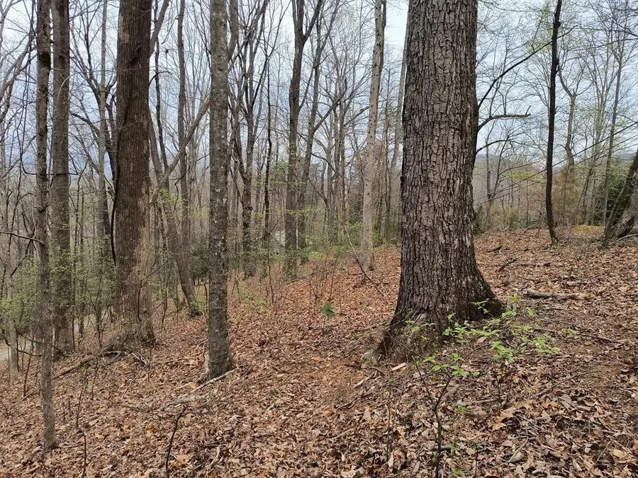 M99 Sleepy Hollow Road, Ellijay, GA 30536 - Image #2