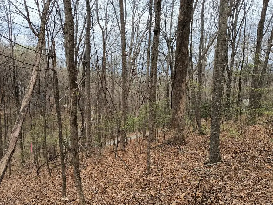 M99 Sleepy Hollow Road, Ellijay, GA 30536 - Image #3