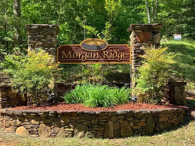 Lot 4 Morgan Ridge Drive, Young Harris, GA 30582 - #2