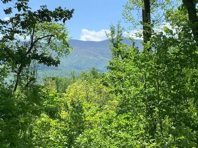 Lot 4 Morgan Ridge Drive, Young Harris, GA 30582 - #3