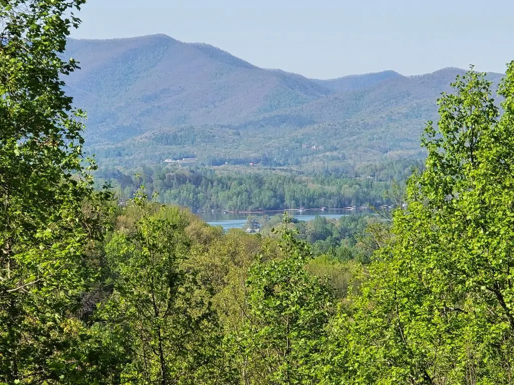 LT 10 High Meadows, Hayesville, NC 28904 - #1