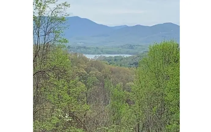 LT 10 High Meadows, Hayesville, NC 28904 - #2