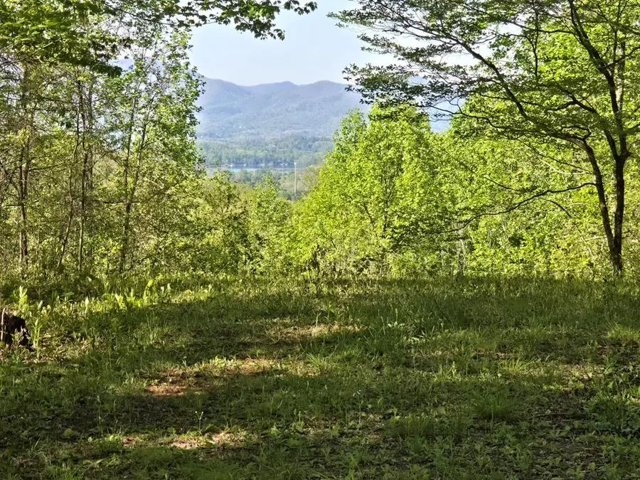 LT 10 High Meadows, Hayesville, NC 28904 - #3