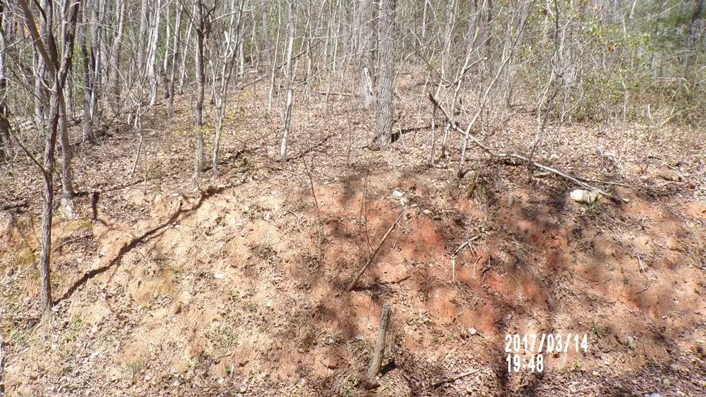 #3 Strawberry Fields, Hayesville, NC 28904 - #1