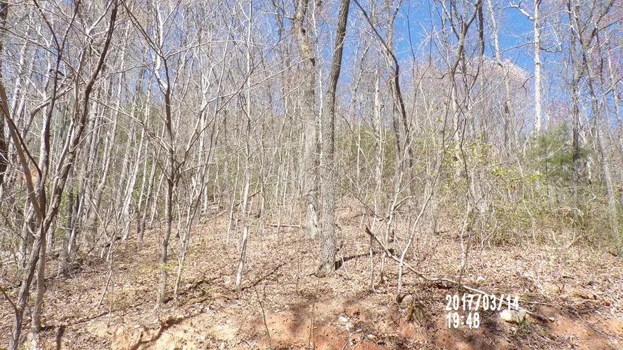 #3 Strawberry Fields, Hayesville, NC 28904 - #2