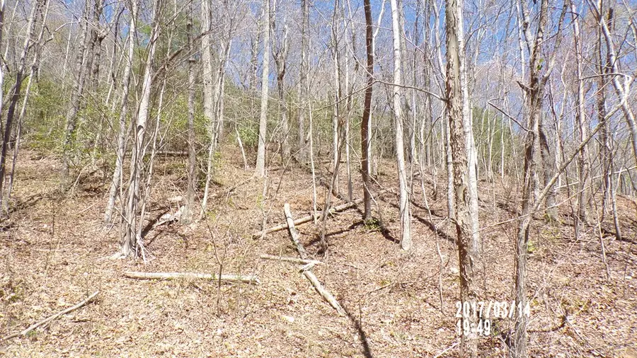 #3 Strawberry Fields, Hayesville, NC 28904 - #3