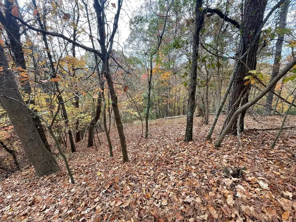 Lot 468 Cherokee Court, Ellijay, GA 30540 - #1