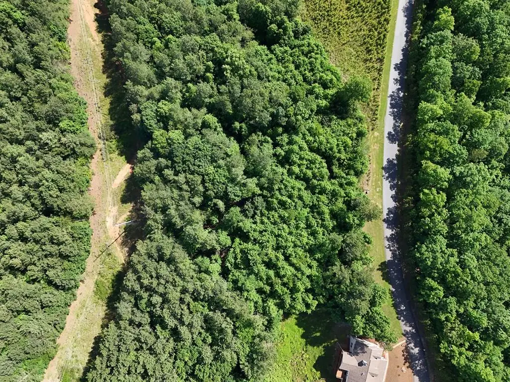 Lot 72 Thirteen Hundred, Blairsville, GA 30512 - #1