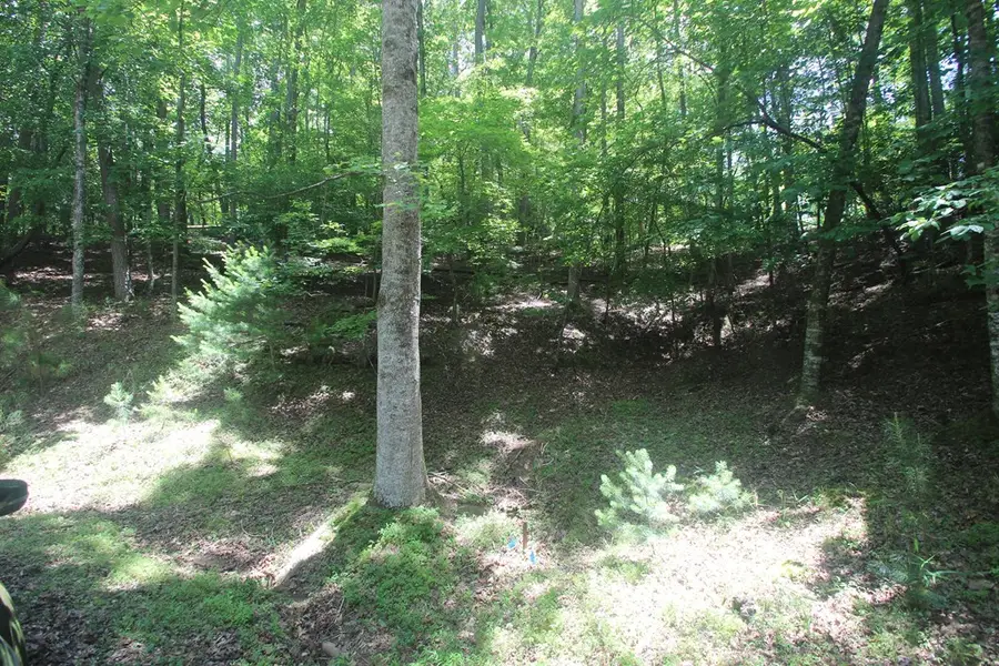 Lt 2628 Garnet Drive, Ellijay, GA 30540 - Image #2