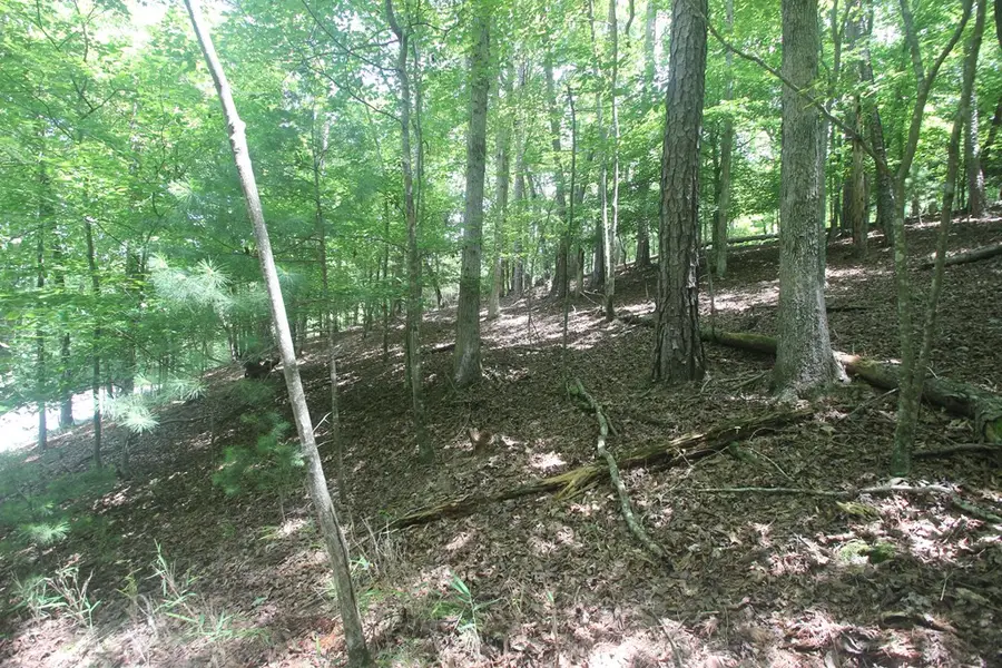 Lt 2628 Garnet Drive, Ellijay, GA 30540 - Image #3