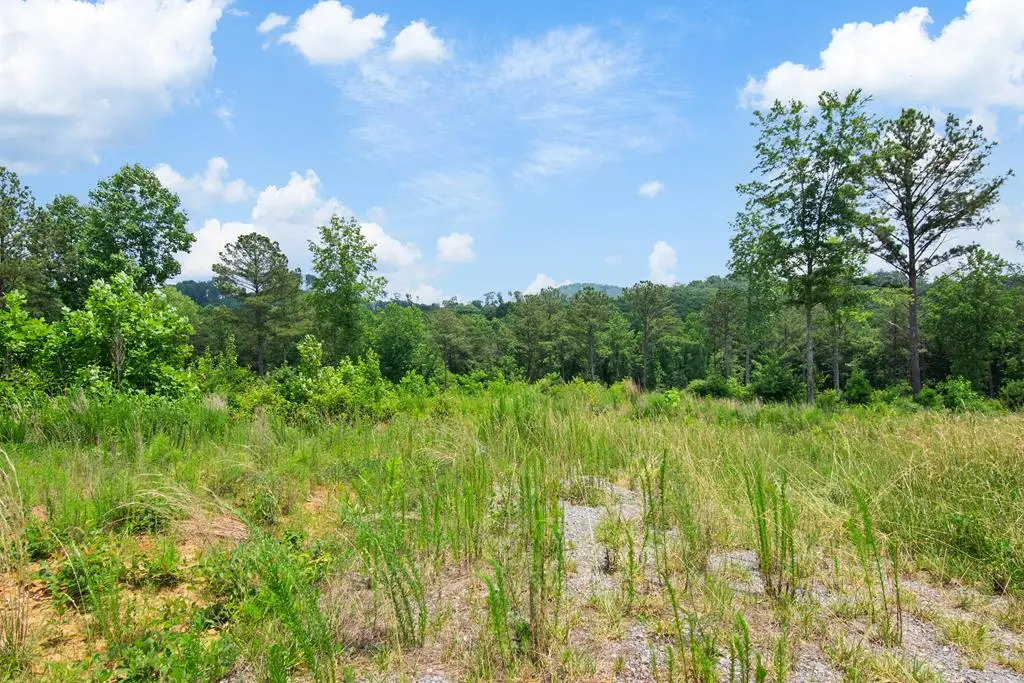 Lot 196 Oak Park Drive, Talking Rock, GA 30175 - Image #1