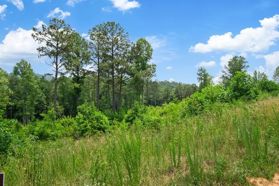 Lot 196 Oak Park Drive, Talking Rock, GA 30175 - Image #3