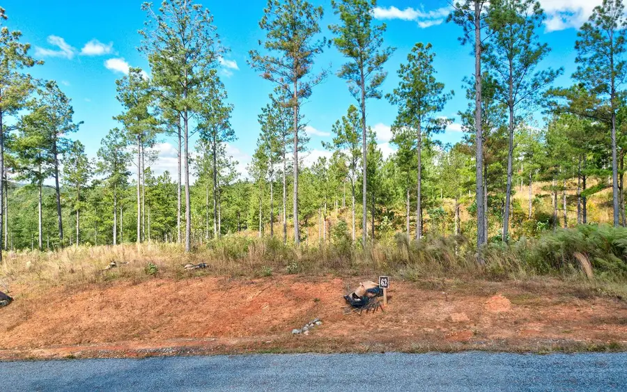 LT 62 Seven Mile Creek Road, Talking Rock, GA 30175 - Image #2