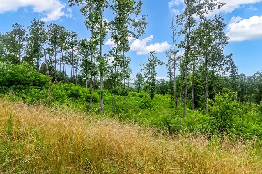 Lot 207 Oak Park Drive, Talking Rock, GA 30175 - #2