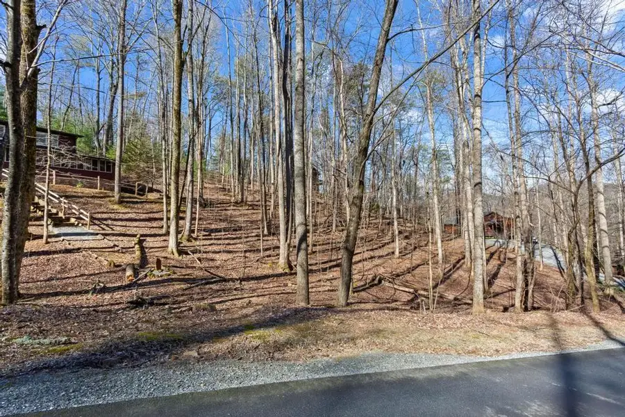 0 Sleepy Hollow Road, Ellijay, GA 30536 - Image #2