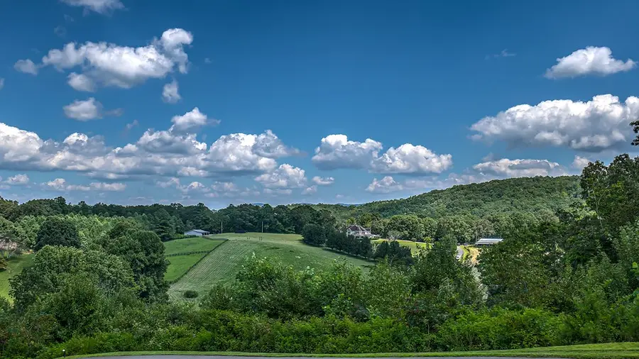 2740 Aska Road, Blue Ridge, GA 30513 - Image #3