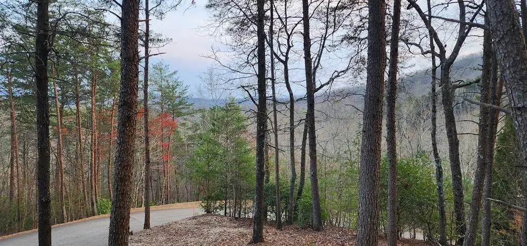 34 Wilderness Creek Way, Murphy, NC 28906 - #1